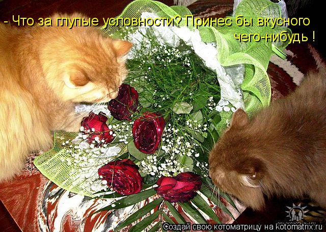 - Что за глупые условности? Принес бы вкусного чего-нибудь !... Котоматрица: - Что за глупые условности? Принес бы вкусного чего-нибудь !
