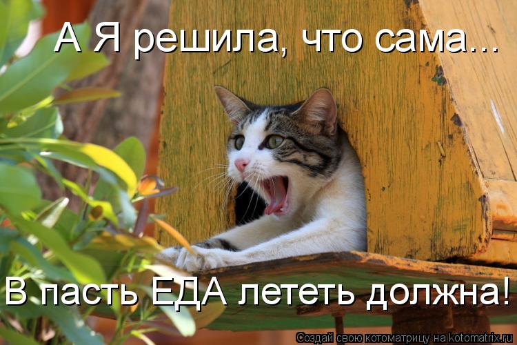 А Я решила, что сама... В пасть ЕДА лететь должна!... Котоматрица: А Я решила, что сама... В пасть ЕДА лететь должна!