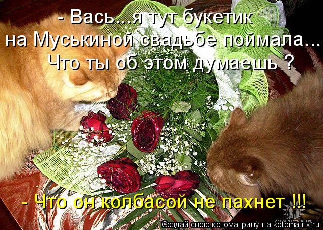 на Муськиной свадьбе поймала... - Вась...я тут букетик Что ты об этом думаешь ? - Что он колбасой не... Котоматрица: на Муськиной свадьбе поймала... - Вась...я тут букетик Что ты об этом думаешь ? - Что он колбасой не пахнет !!!