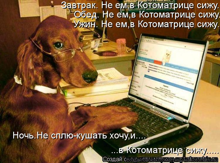 Завтрак. Не ем,в Котоматрице сижу. Обед. Не ем,в Котоматрице сижу. Ужин. Не ем,в Котоматрице сижу. Но... Котоматрица: Завтрак. Не ем,в Котоматрице сижу. Обед. Не ем,в Котоматрице сижу. Ужин. Не ем,в Котоматрице сижу. Ночь.Не сплю-кушать хочу,и.... ...в Котоматрице