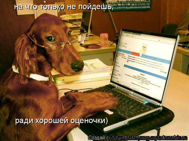 на что только не пойдешь, ради хорошей оценочки)... Котоматрица: на что только не пойдешь, ради хорошей оценочки)