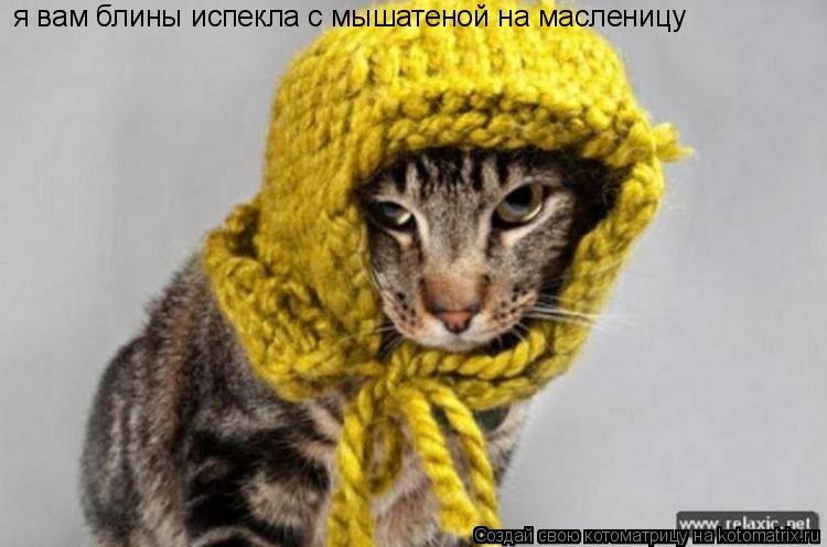 я вам блины испекла с мышатеной на масленицу... Котоматрица: я вам блины испекла с мышатеной на масленицу
