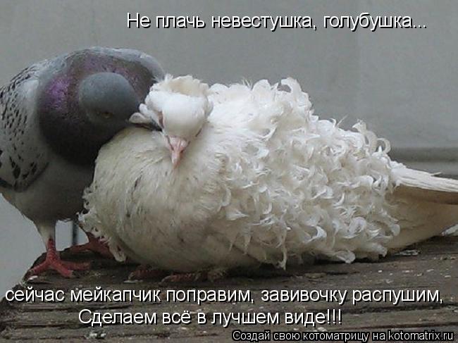 Котоматрица: Не плачь невестушка, голубушка... сейчас мейкапчик поправим, завивочку распушим,  Сделаем всё в лучшем виде!!!