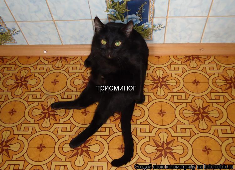 трисминог... Котоматрица: трисминог