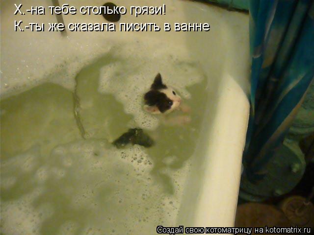 Котоматрица: Х.-на тебе столько грязи! К.-ты же сказала писить в ванне