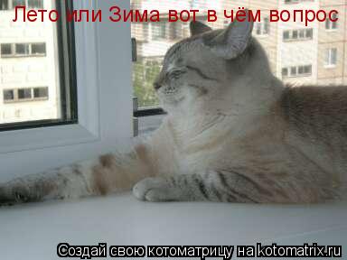 Лето или Зима вот в чём вопрос... Котоматрица: Лето или Зима вот в чём вопрос