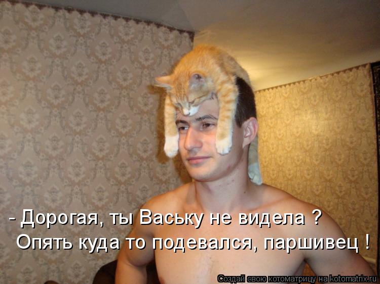 Котоматрица: - Дорогая, ты Ваську не видела ?   Опять куда то подевался, паршивец !