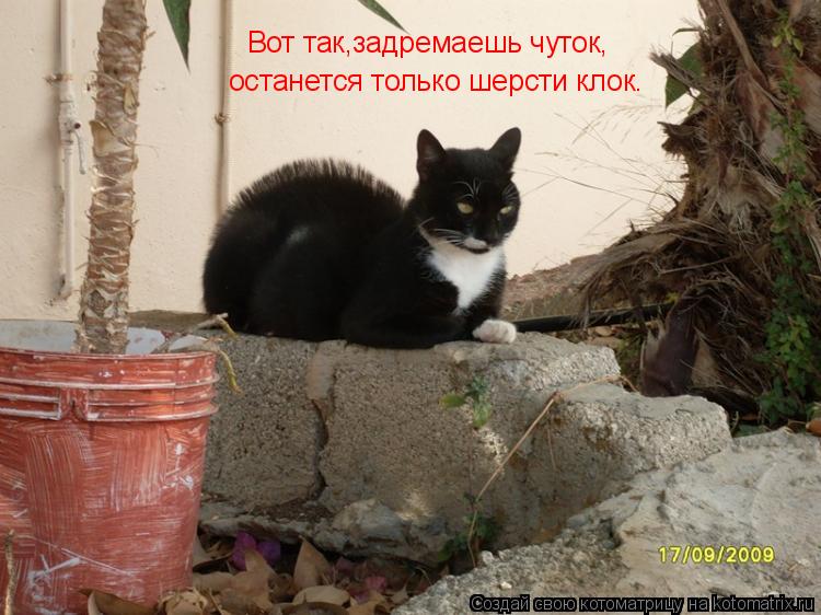 Котоматрица: Вот так,задремаешь чуток, останется только шерсти клок.