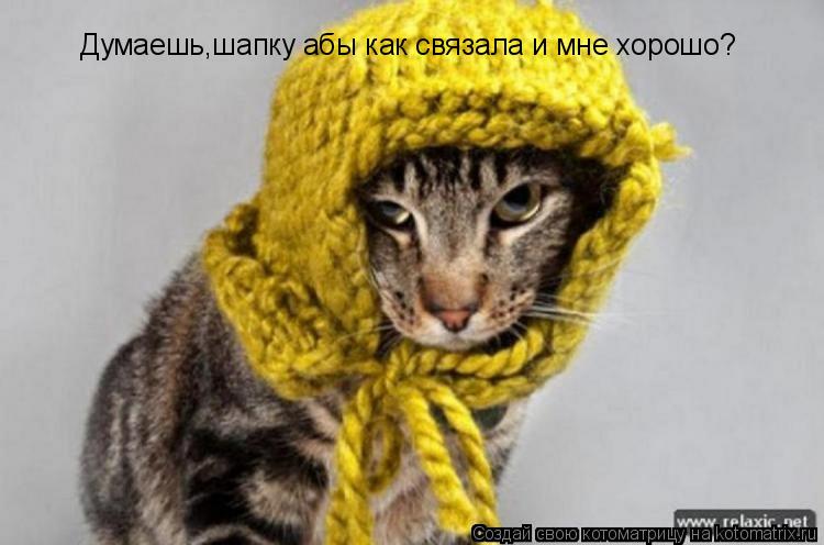 Котоматрица: Думаешь,шапку абы как связала и мне хорошо?