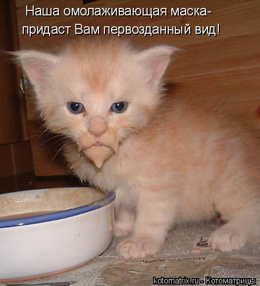Котоматрица: придаст Вам первозданный вид! Наша омолаживающая маска-
