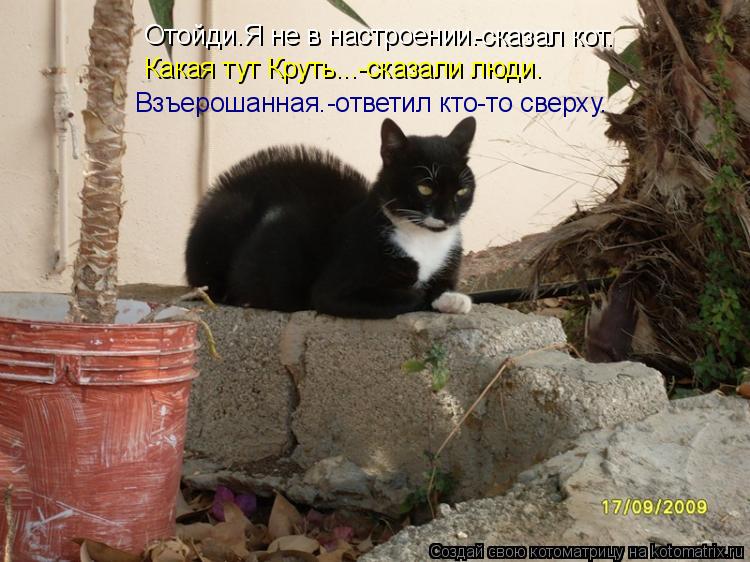 Котоматрица: Отойди.Я не в настроении. -сказал кот. Какая тут Круть...-сказали люди. Взъерошанная.-ответил кто-то сверху.