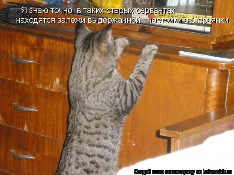 Котоматрица: - Я знаю точно, в таких старых сервантах,  находятся залежи выдержанной   настойки валерьянки.