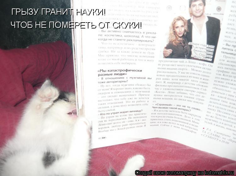 Котоматрица: ГРЫЗУ ГРАНИТ НАУКИ! ЧТОБ НЕ ПОМЕРЕТЬ ОТ СКУКИ!
