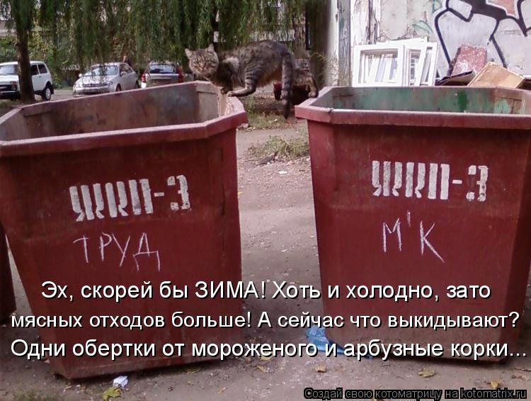 Котоматрица: Эх, скорей бы ЗИМА! Хоть и холодно, зато мясных отходов больше! А сейчас что выкидывают? Одни обертки от мороженого и арбузные корки...