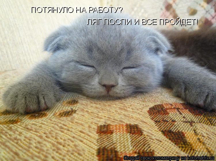 Котоматрица: ПОТЯНУЛО НА РАБОТУ? ЛЯГ ПОСПИ И ВСЕ ПРОЙДЕТ!
