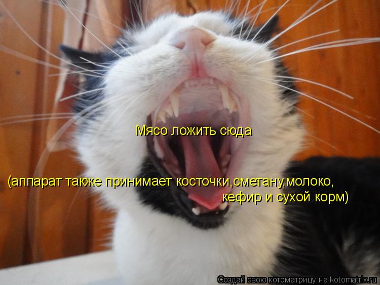 Котоматрица: Мясо ложить сюда (аппарат также принимает косточки,сметану,молоко, кефир и сухой корм)
