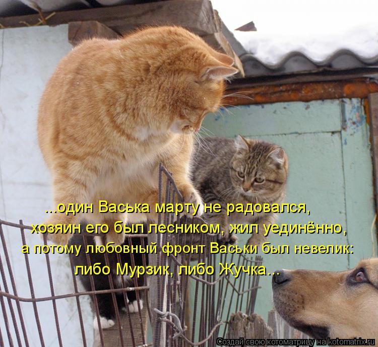 ...один Васька марту не радовался, хозяин его был лесником, жил уединённо, а потому любовный фронт ... Котоматрица: ...один Васька марту не радовался, хозяин его был лесником, жил уединённо, а потому любовный фронт Васьки был невелик: либо Мурзик, либо Жучк