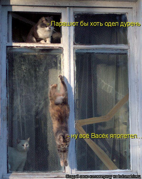 Котоматрица: - ну всё Васёк яполетел... - Парашют бы хоть одел дурень