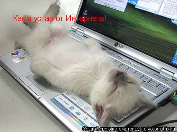 Котоматрица: Как я устал от Интернета!