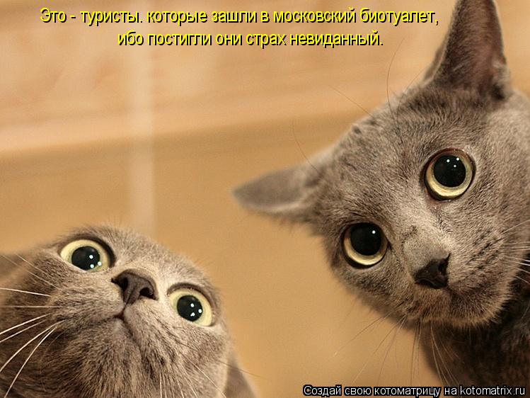 Котоматрица: Это - туристы. которые зашли в московский биотуалет, ибо постигли они страх невиданный.