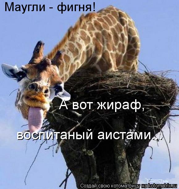 Котоматрица: Маугли - фигня! А вот жираф, воспитаный аистами...