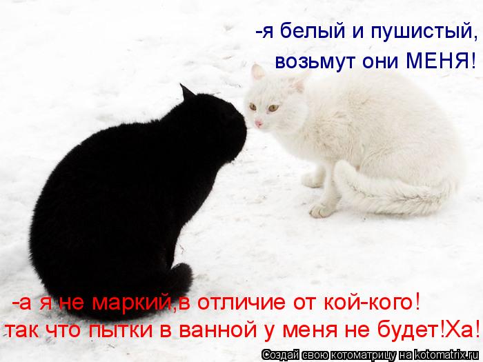Котоматрица: -я белый и пушистый, возьмут они МЕНЯ! -а я не маркий,в отличие от кой-кого! так что пытки в ванной у меня не будет!Ха!
