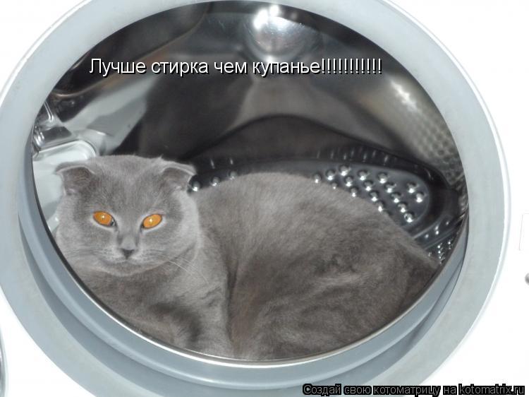 Котоматрица: Лучше стирка чем купанье!!!!!!!!!!!
