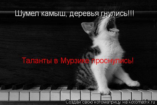 Котоматрица: Шумел камыш, деревья гнулись!!! Таланты в Мурзике проснулись!