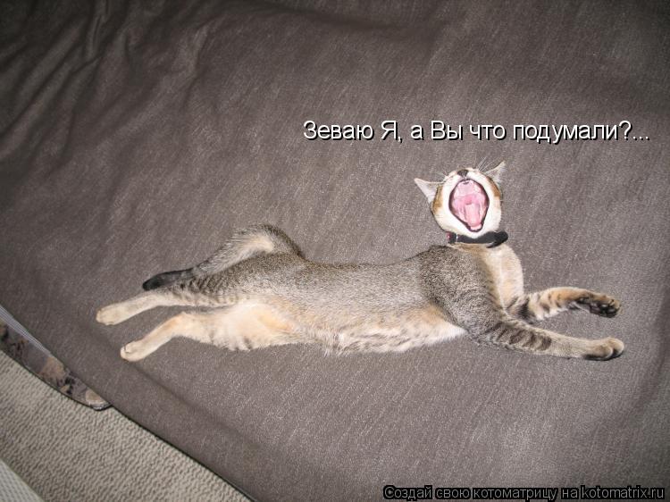 Котоматрица: Зеваю Я, а Вы что подумали?...