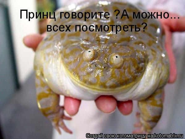 Котоматрица: всех посмотреть? Принц говорите ?А можно...