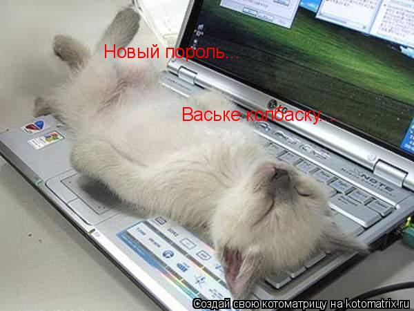Котоматрица: Новый пороль... Ваське колбаску....