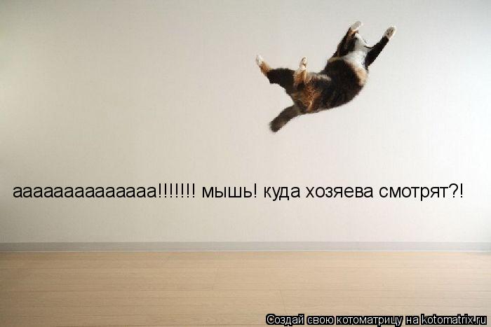 Котоматрица: аааааааааааааа!!!!!!! мышь! куда хозяева смотрят?!