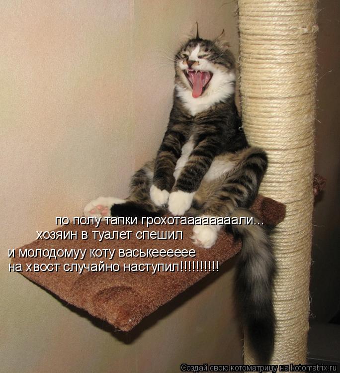 Котоматрица: по полу тапки грохотаааааааали... хозяин в туалет спешил и молодомуу коту васькееееее на хвост случайно наступил!!!!!!!!!!
