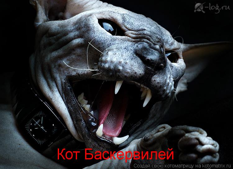 Котоматрица: Кот Баскервилей