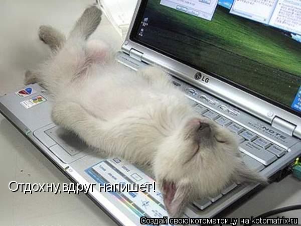 Котоматрица: Отдохну,вдруг напишет!