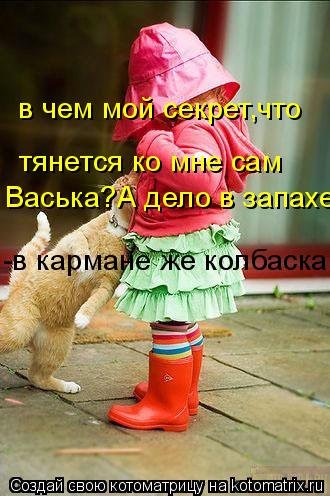 Котоматрица: в чем мой секрет,что тянется ко мне сам Васька?А дело в запахе, -в кармане же колбаска!
