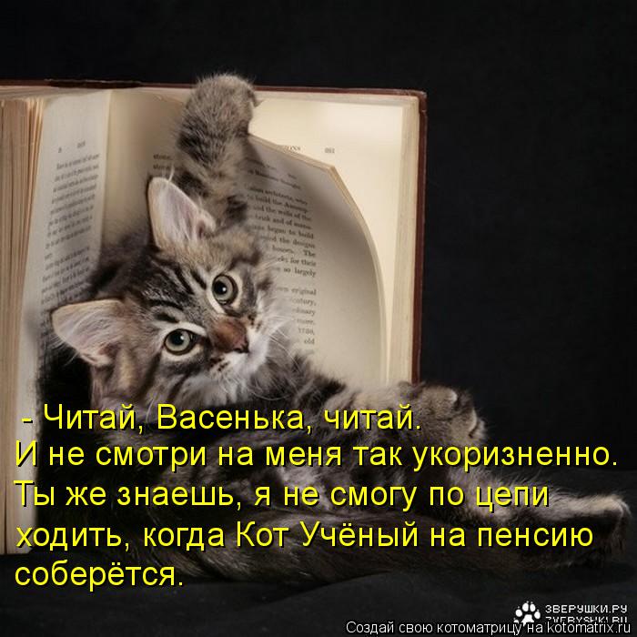 Котоматрица: - Читай, Васенька, читай. И не смотри на меня так укоризненно. Ты же знаешь, я не смогу по цепи ходить, когда Кот Учёный на пенсию соберётся.