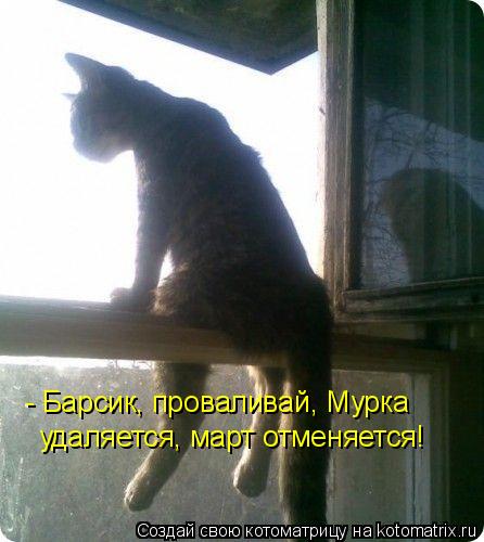 Котоматрица: - Барсик, проваливай, Мурка  удаляется, март отменяется!