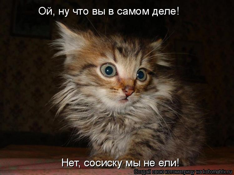 Котоматрица: Ой, ну что вы в самом деле! Нет, сосиску мы не ели!