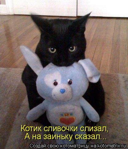 Котик сливочки слизал, А на заиньку сказал...... Котоматрица: Котик сливочки слизал, А на заиньку сказал...