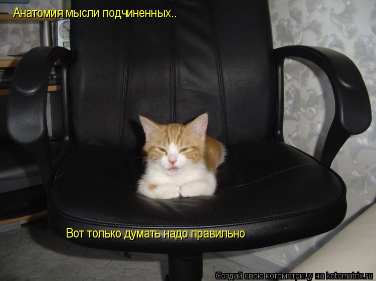 Анатомия мысли подчиненных.. Вот только думать надо правильно... Котоматрица: Анатомия мысли подчиненных.. Вот только думать надо правильно
