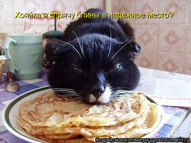 Хояйка я спрячу блины в надёжное место?... Котоматрица: Хояйка я спрячу блины в надёжное место?
