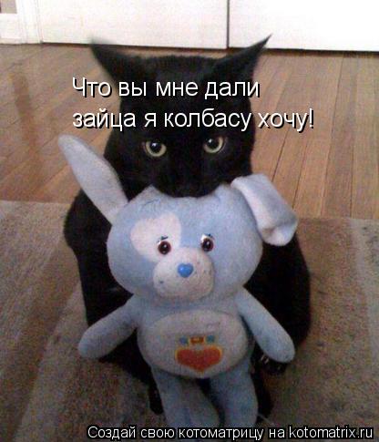 Что вы мне дали зайца я колбасу хочу! Что вы мне дали зайца я колбасу хочу!... Котоматрица: Что вы мне дали зайца я колбасу хочу! Что вы мне дали зайца я колбасу хочу!