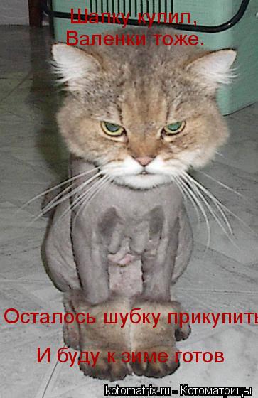 Шапку купил, Валенки тоже. Осталось шубку прикупить И буду к зиме готов... Котоматрица: Шапку купил, Валенки тоже. Осталось шубку прикупить И буду к зиме готов