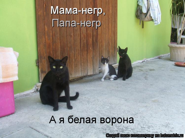 Мама-негр, Папа-негр А я белая ворона... Котоматрица: Мама-негр, Папа-негр А я белая ворона