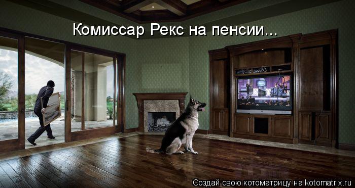 Комиссар Рекс на пенсии...... Котоматрица: Комиссар Рекс на пенсии...