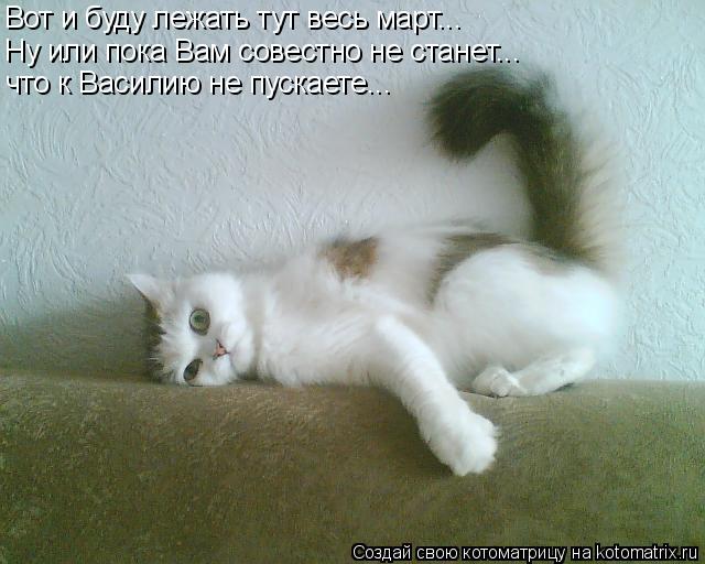 Вот и буду лежать тут весь март... Ну или пока Вам совестно не станет... что к Василию не пускаете...... Котоматрица: Вот и буду лежать тут весь март... Ну или пока Вам совестно не станет... что к Василию не пускаете...