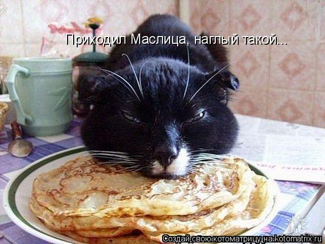 Приходил Маслица, наглый такой...... Котоматрица: Приходил Маслица, наглый такой...