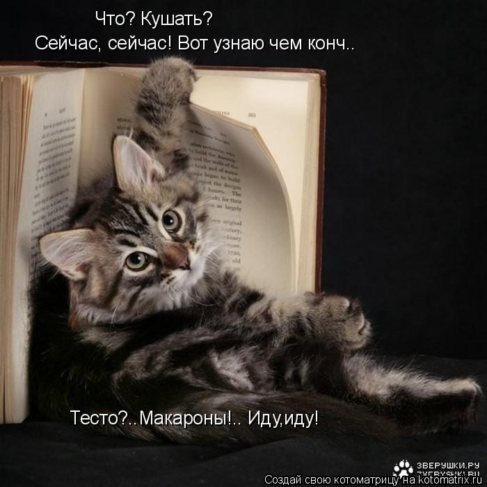 Что? Кушать? Сейчас, сейчас! Вот узнаю чем конч.. Тесто?..Макароны!.. Иду,иду!... Котоматрица: Что? Кушать? Сейчас, сейчас! Вот узнаю чем конч.. Тесто?..Макароны!.. Иду,иду!