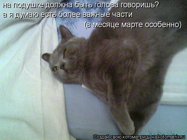 на подушке должна быть голова говоришь? а я думаю есть более важные части (в месяце марте особенно)... Котоматрица: на подушке должна быть голова говоришь? а я думаю есть более важные части (в месяце марте особенно)